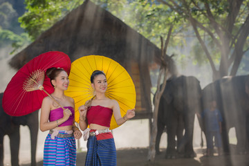 Beautiful girl Thai Lanna women in dress traditional costume with elephant in Chiang Mai, Thailand