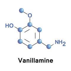 Vanillamine vector molecular structure, component of the extract of the vanilla bean.