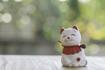 Doll cat sat smiling on the background bokeh.