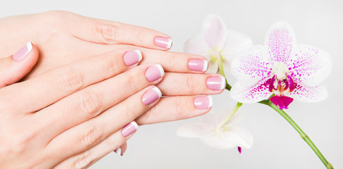 Fototapeta premium Closeup of female hands and fingers manicured. Fingernails with french spring manicure close to branch of orchid flowers isolated on white background. Painted with modern gel-polish with top cover.