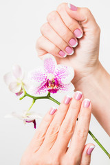 Closeup of female hands and fingers manicured. Fingernails with french spring manicure close to branch of orchid flowers isolated on white background. Painted with modern gel-polish with top cover.