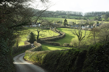A narrow winding country lane in Devon England UK