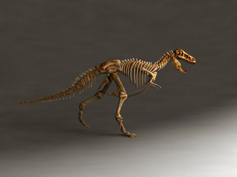 Esqueleto de Tiranosaurio Rex