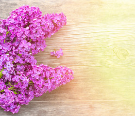 Bright spring background with a bouquet of lilac flowers on a wooden board in the golden sunlight, with space for text
