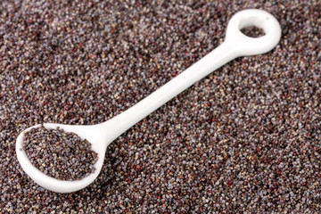 poppy seeds with a spoon as background close-up. Top view
