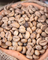The sack of coffee beans on wooden background