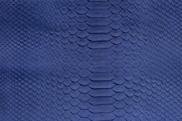 Genuine python snakeskin leather, snake skin, texture background.