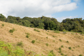 Trekking in brown grass in fields on the mountain