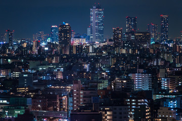 Fototapeta na wymiar Night view of Tokyo - 東京の夜景
