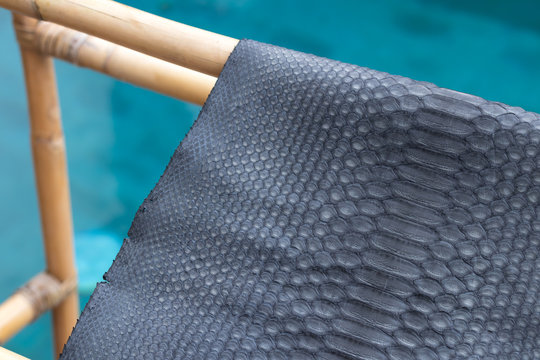 Genuine python snakeskin leather, snake skin, texture background. Swimming pool on a background.