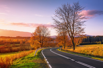 Road of autumn colors