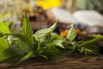 Book and Herbal medicine on wooden table background