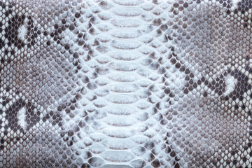 Genuine python snakeskin leather, snake skin, texture background.