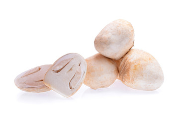 Straw mushrooms flower