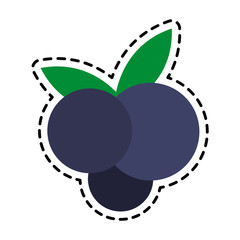 blueberry fruit icon image vector illustration design 