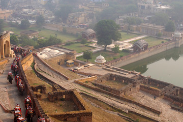 Jaipur, India, elephants at the amber fort in India