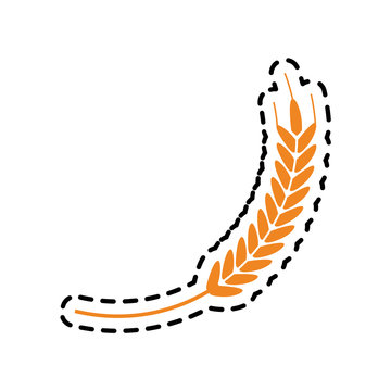 wheat ear icon image vector illustration design 