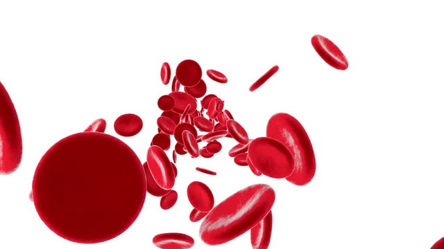 Flowing Erythrocyte aka Hemoglobin cells on a white background.