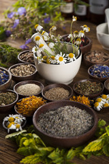 Alternative medicine, dried herbs and mortar on wooden desk background