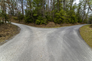 A country road splits in two, making a decision-requiring fork in the road.