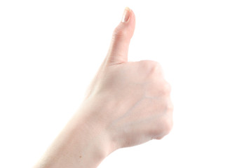 Female hand, isolated on white background,
