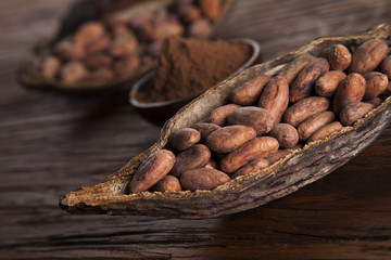 Cocoa beans in the dry cocoa pod fruit on wooden background