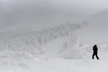 snow monster at zao mountain