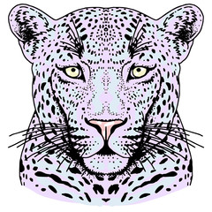 Leopard face tattoo ,Vector illustration, print