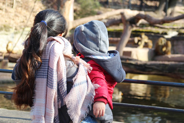 in the zoo, mother with baby on the arm ist watching apes