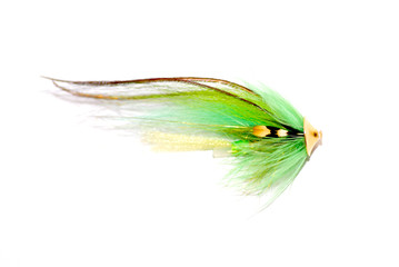 Obraz premium Fly fishing