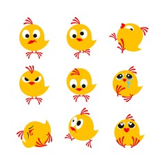 funny chickens, package