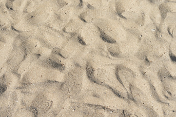 Fototapeta na wymiar Sand background with footprints 