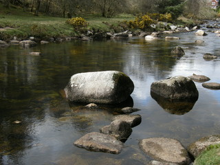 Fototapeta na wymiar River of Dartmoor
