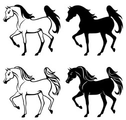 Outline and silhouette illustration of beautiful arabian horse
