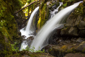 Twin Waterfalls in Washington Forest