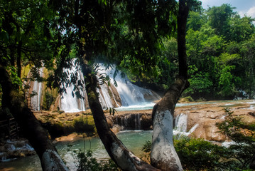Waterfalls in chiapas