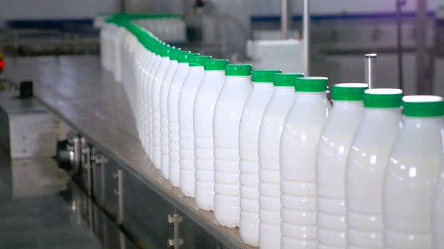 Lots of bottles with milk moving on a conveyor at factory. 4K.