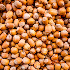 Nuts. nuts background pattern. Texture