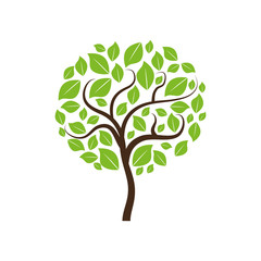 Obraz premium Nature green plant icon vector illustration graphic design