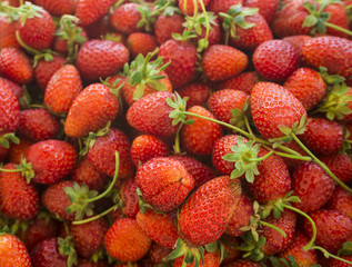 Red strawberries. Background from fresh strawberries,  Strawberries at market. Healthy strawberries.(selective focus)