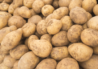  Fresh potatoes in the market. Yellow potatoes. Potatoes background. Vegetable Potatoes. (Selective background)