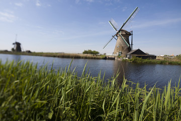 Fototapeta premium Windmill, Kinderdijk in netherlands
