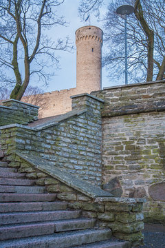 Stairs to Tall Hermann