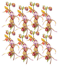 orhid
