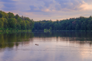 Obraz na płótnie Canvas Lake near the Konopiste castle in the evening sun.