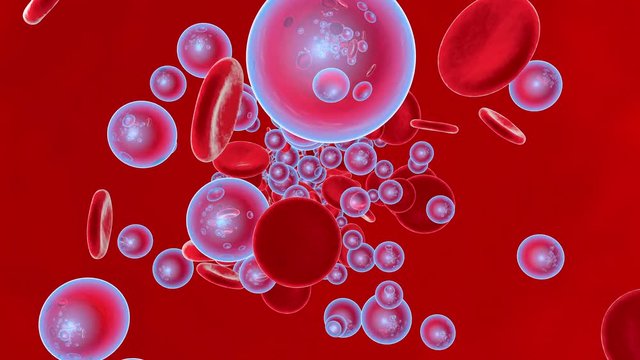 Oxygen flowing with Erythrocytes in the bloodstream.