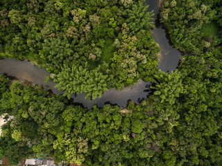 Aerial View of a River in Rainforest, Latin America