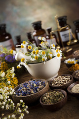 Obraz na płótnie Canvas Healing herbs on wooden table, mortar and herbal medicine