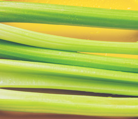 clean fresh wet green celery
