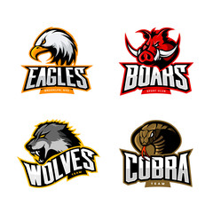 Obraz premium Furious cobra, wolf, eagle and boar sport vector logo concept set isolated on white Premium quality wild animal, bird and snake t-shirt tee print illustration.